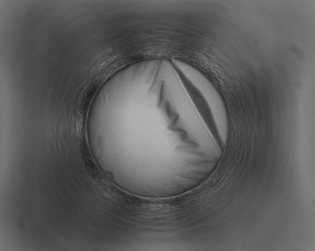 X0000116370745200912291710