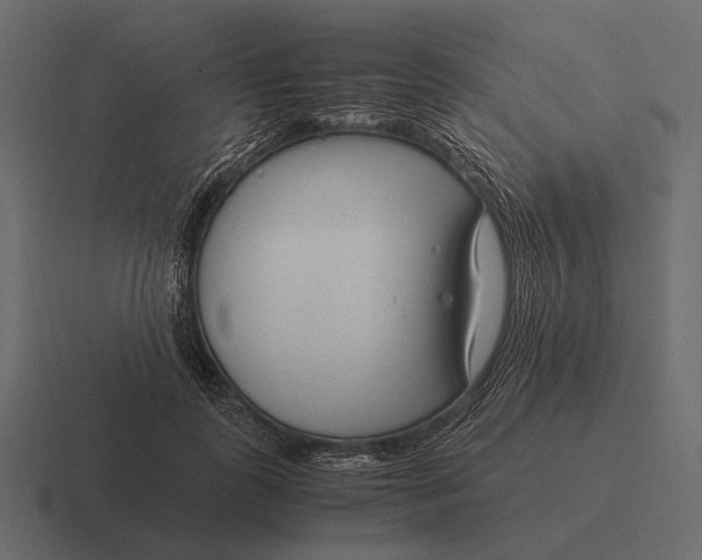 X0000116370747200912291710