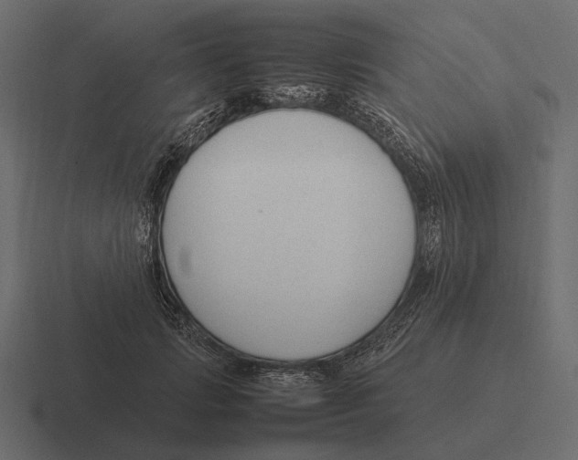 X0000116370749200912291710