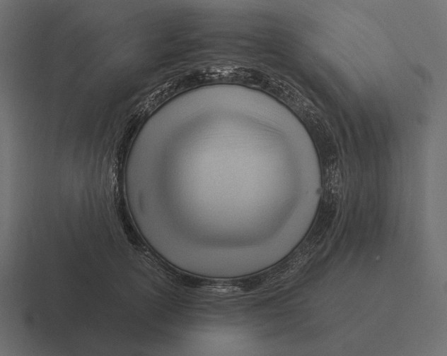 X0000116370754200912291710