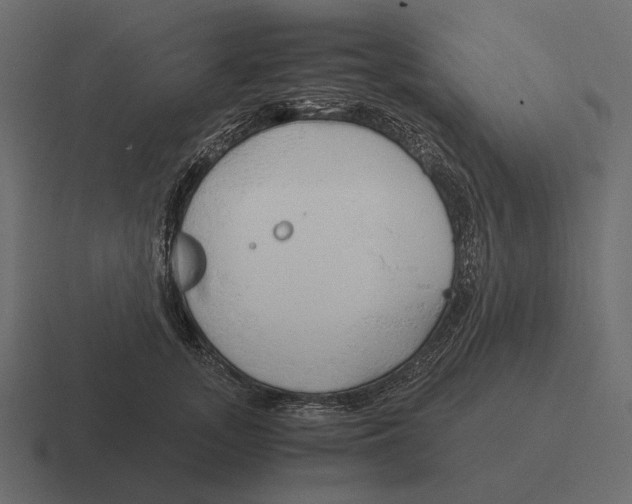 X0000116370755200912291710