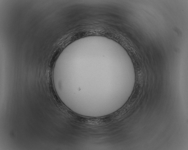 X0000116370757200912291710