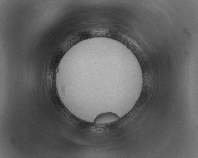 X0000116370761200912291710