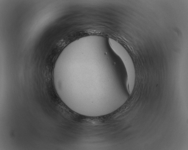 X0000116370763200912291710