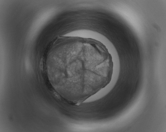 X0000116370766200912291710