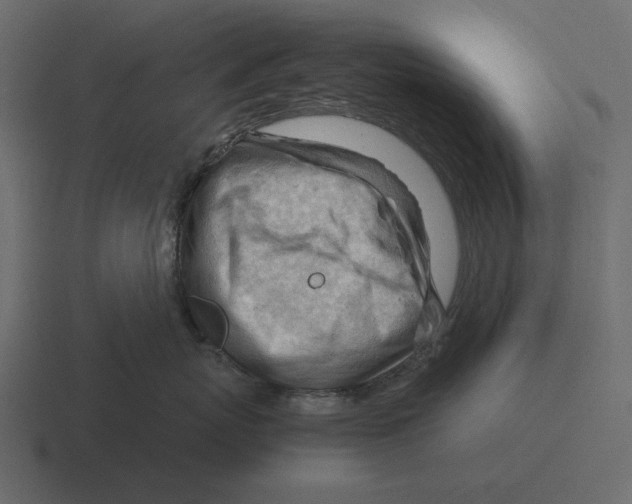 X0000116370767200912291710