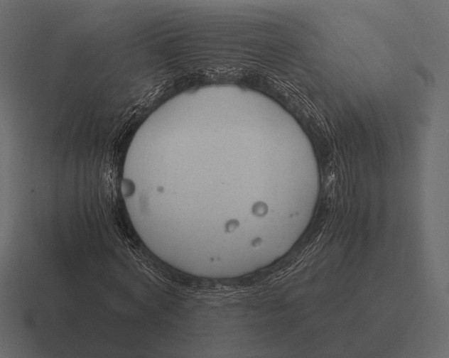 X0000116370772200912291710