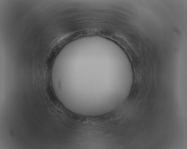 X0000116370773200912291710