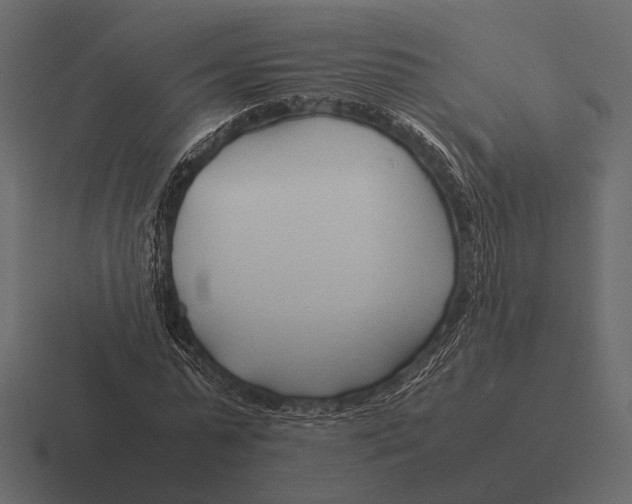 X0000116370775200912291709