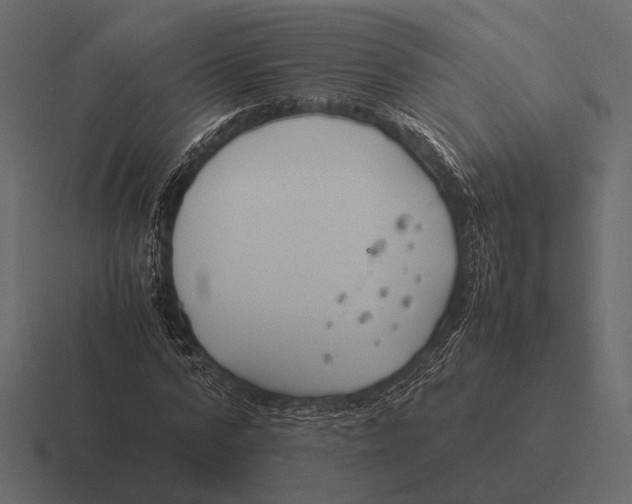 X0000116370776200912291709