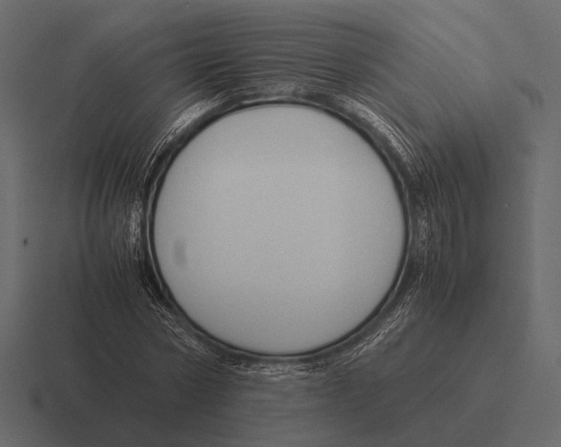 X0000116370778200912291709