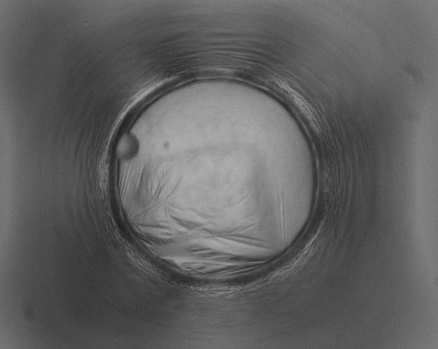 X0000116370779200912291709