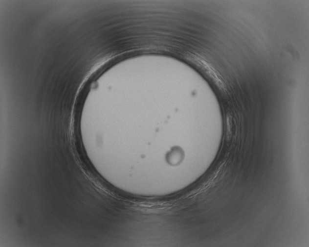 X0000116370780200912291709