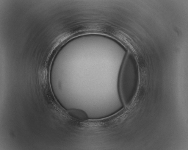 X0000116370781200912291709