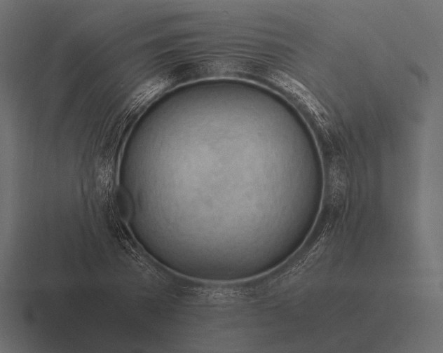 X0000116370785200912291709