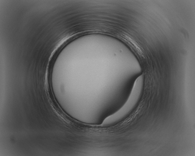 X0000116370788200912291709