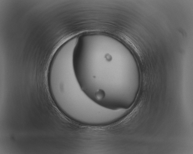 X0000116370789200912291709