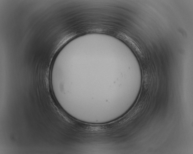 X0000116370794200912291709