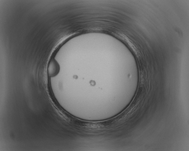 X0000116370795200912291709