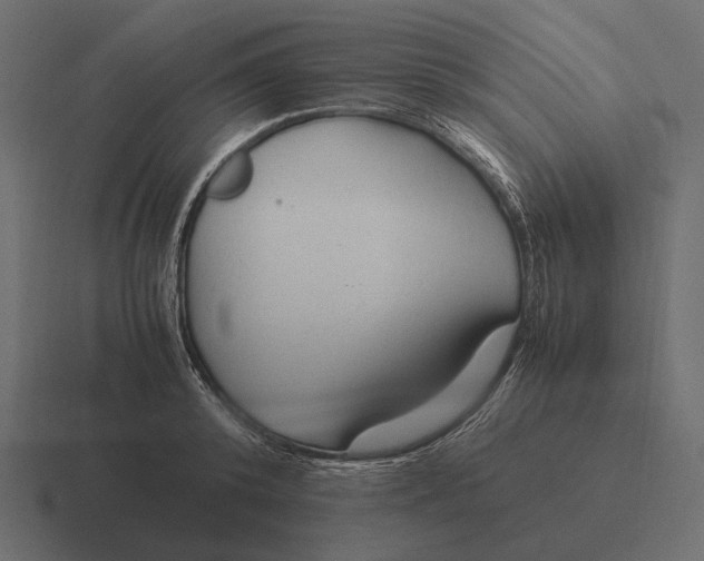 X0000116370800200912291709