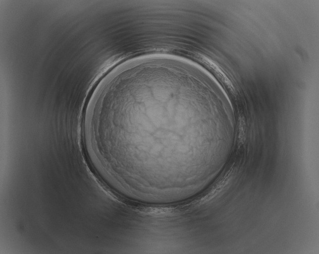 X0000116370802200912291709