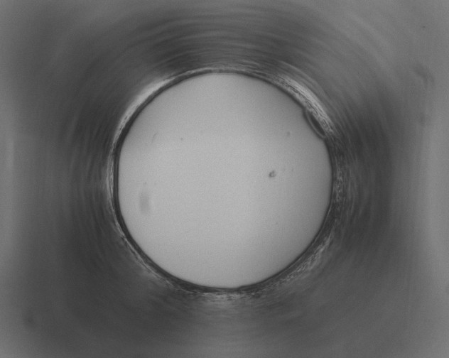 X0000116370804200912291709