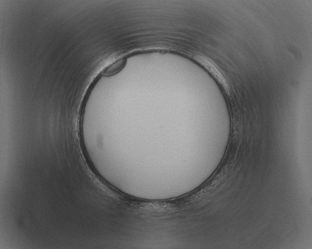 X0000116370805200912291709