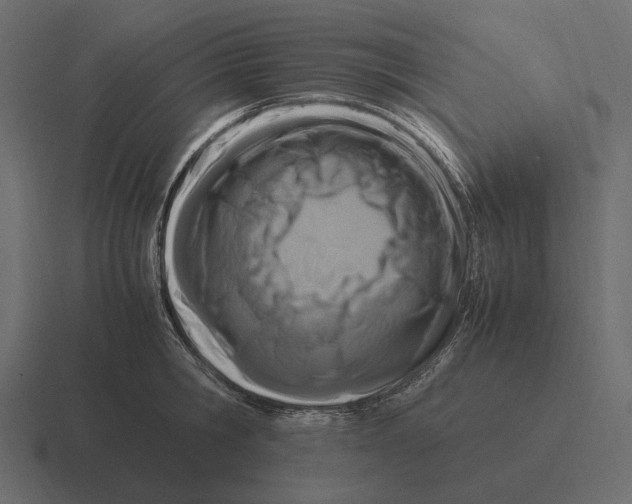 X0000116370806200912291709