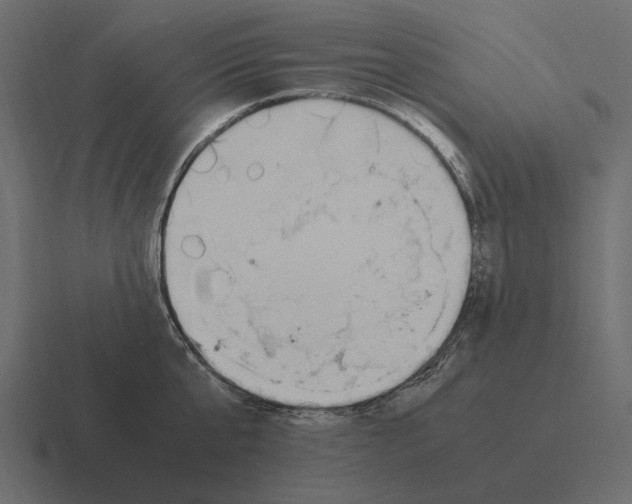 X0000116370807200912291709