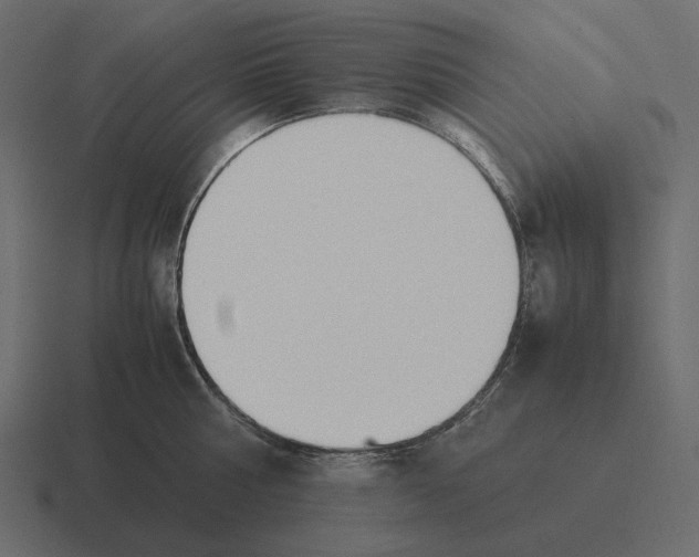 X0000116370810200912291709