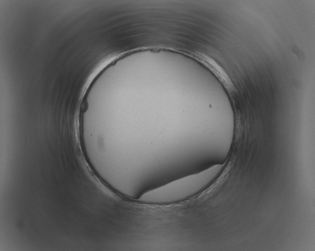 X0000116370812200912291709