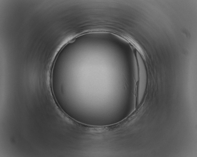 X0000116370813200912291709