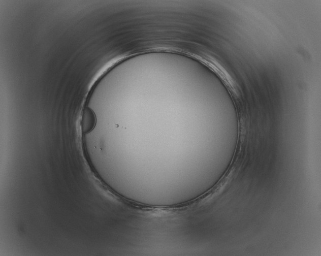 X0000116370814200912291709