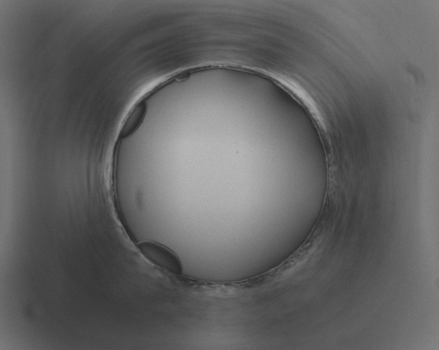 X0000116370815200912291709