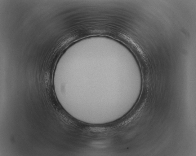 X0000116370825200912291708