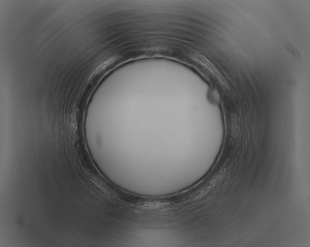 X0000116370826200912291708