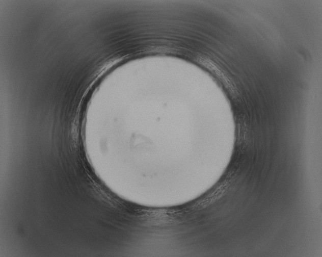 X0000116370828200912291709