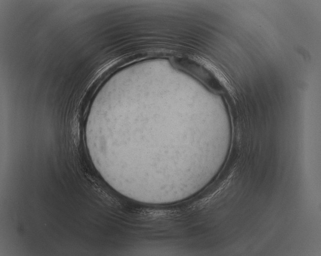 X0000116370829200912291709