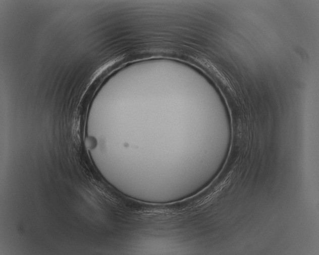 X0000116370830200912291709