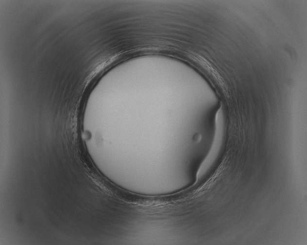 X0000116370834200912291709