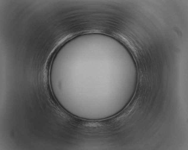 X0000116370835200912291709