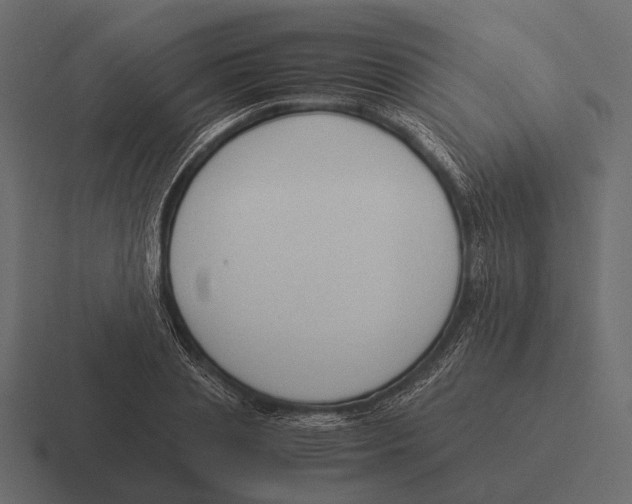 X0000116370837200912291709