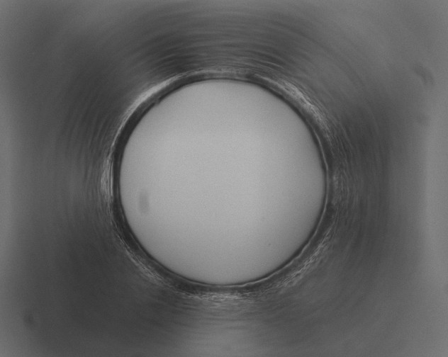 X0000116370838200912291709