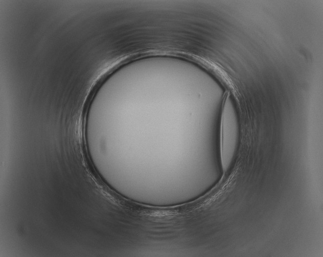 X0000116370839200912291709