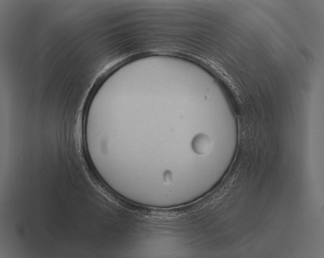 X0000116370840200912291709