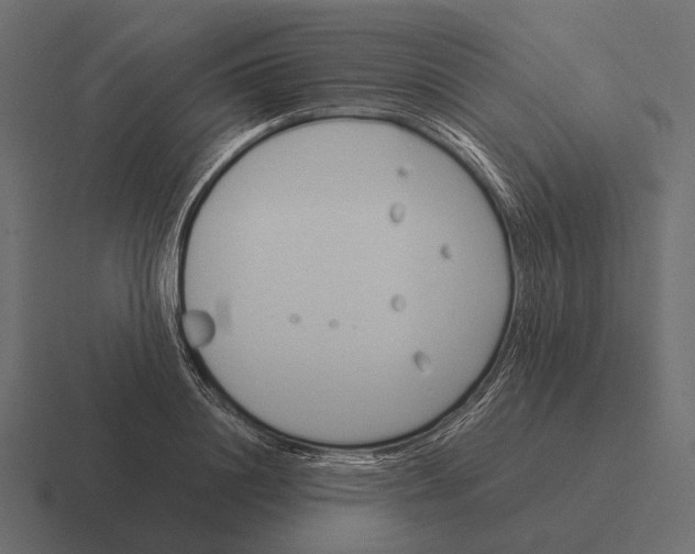 X0000116370844200912291709