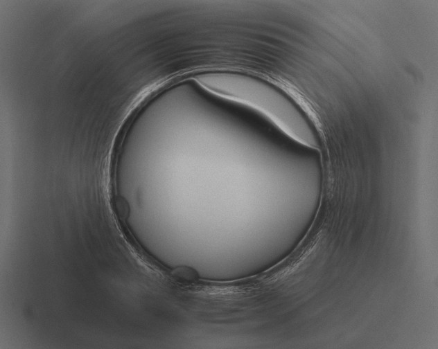 X0000116370845200912291709