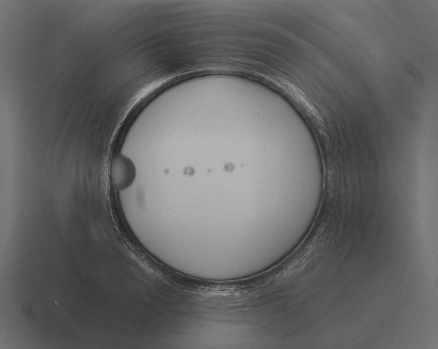 X0000116370846200912291709