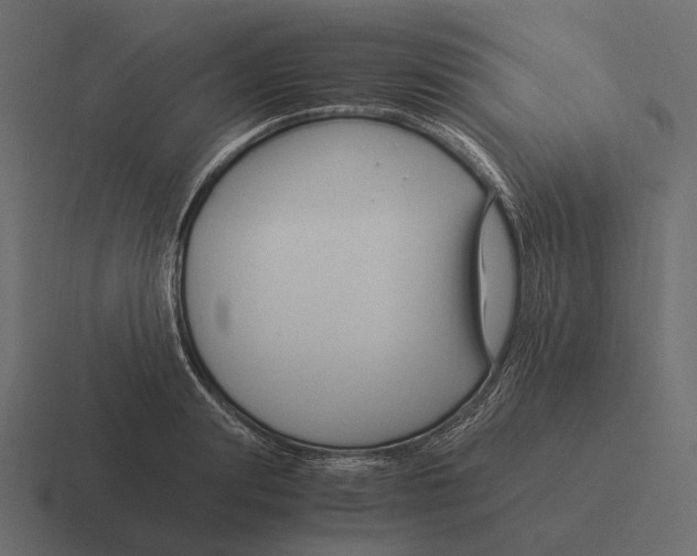 X0000116370847200912291709