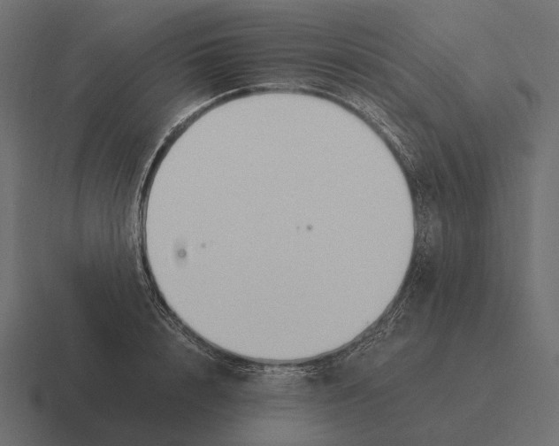 X0000116370848200912291709